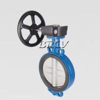 蝸輪對夾式軟密封蝶閥